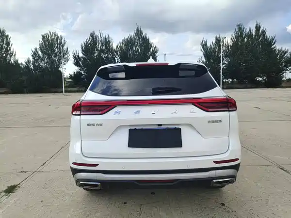 Haval H6 2021, фото 5