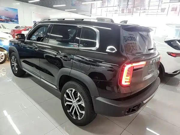 Haval Dargo 2021, фото 4