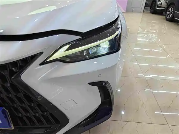 Lexus NX 2022, фото 10