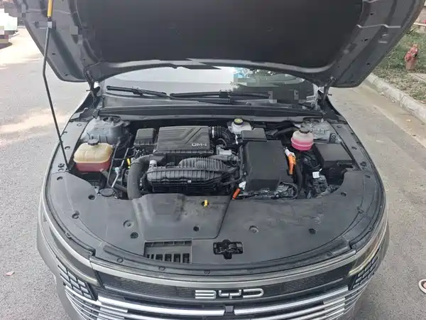 BYD Destroyer 05 2023, фото 16