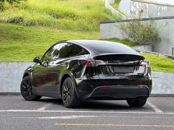 Tesla Model Y 2022, фото 5