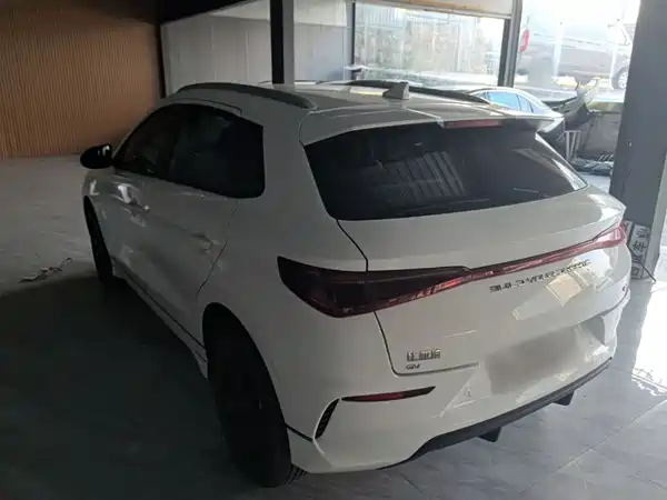 BYD e2 2021, фото 4