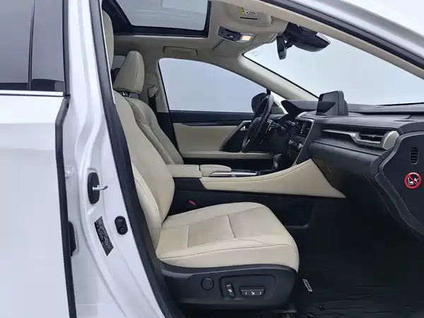 Lexus RX 2020, фото 11