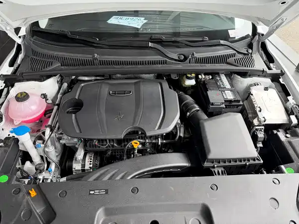Geely Binrui 2024, фото 16