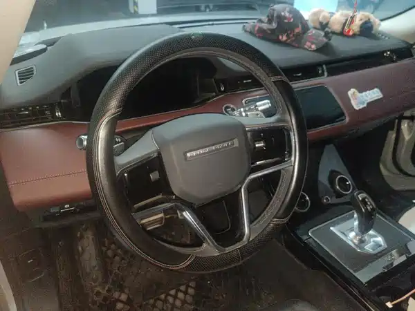 Land Rover Range Rover Evoque 2021, фото 15