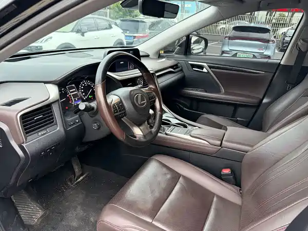 Lexus RX 2020, фото 8
