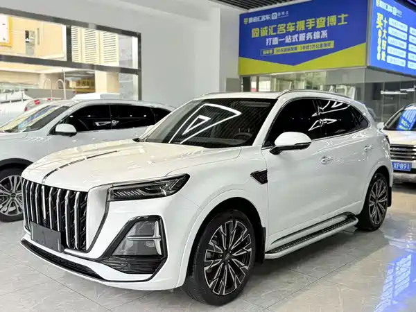 Hongqi HS5 2023, фото 3