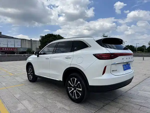 Haval H6 2022, фото 6