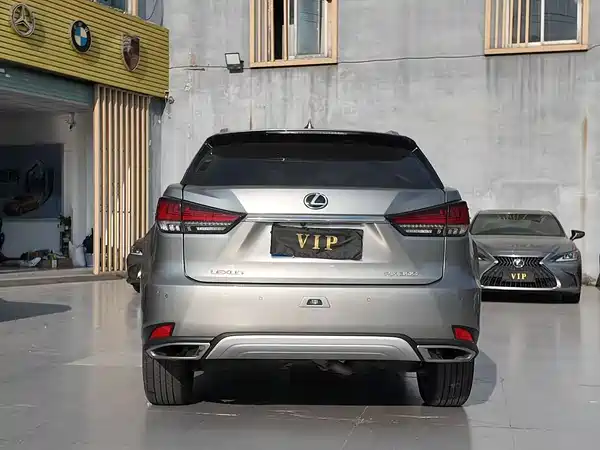 Lexus RX 2020, фото 4