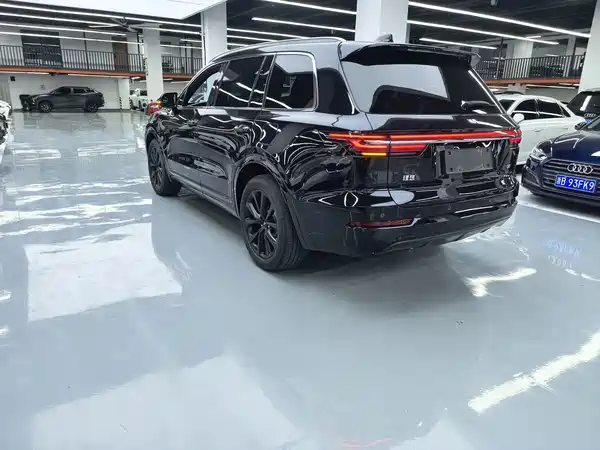 Li Auto ONE 2021, фото 16