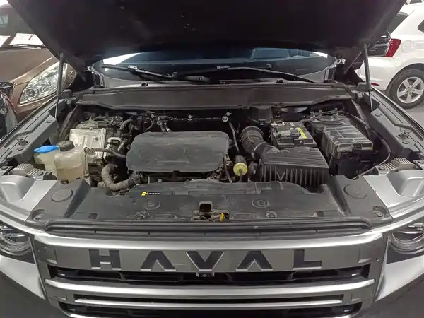 Haval Dargo 2024, фото 15