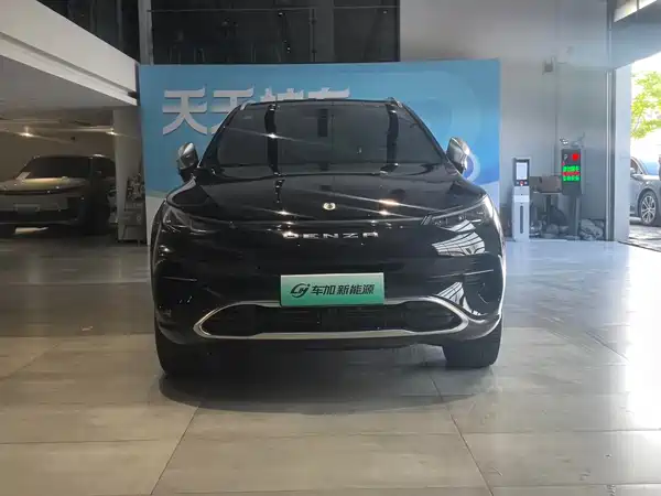 Denza X 2020, фото 2