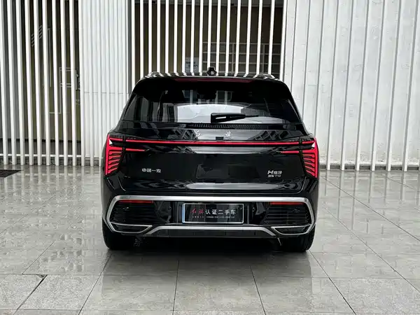 Hongqi HS3 2024, фото 13