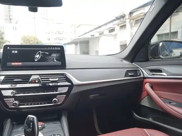 BMW 5 Series 2023, фото 16