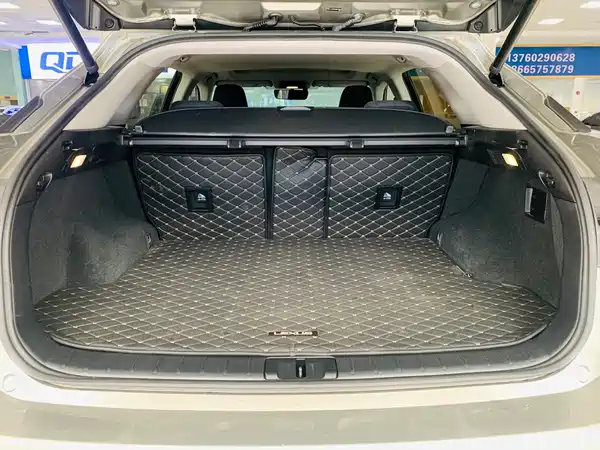 Lexus RX 2020, фото 15