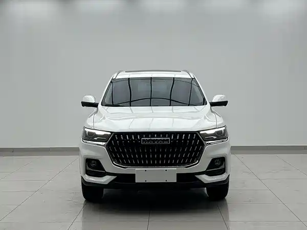 Haval H6 2023, фото 2