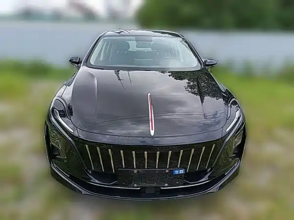 Hongqi E-QM5 2023, фото 4