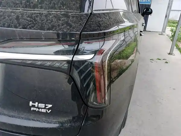 Hongqi HS7 PHEV 2024, фото 8