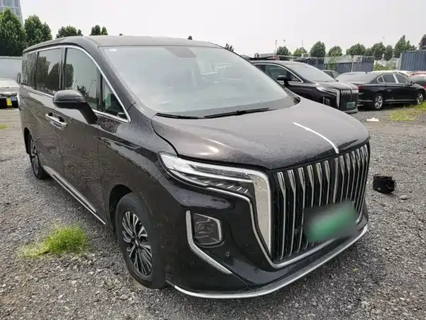 Hongqi HQ9 PHEV 2024, фото 4