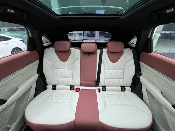 Haval Shenshou 2022, фото 21