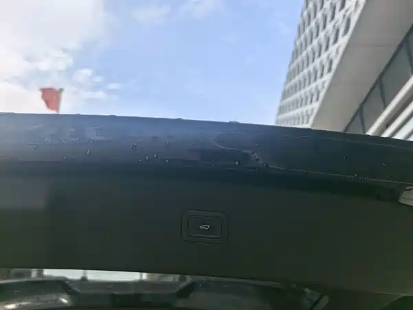 Hongqi HS7 PHEV 2024, фото 14