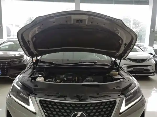 Lexus RX 2020, фото 19