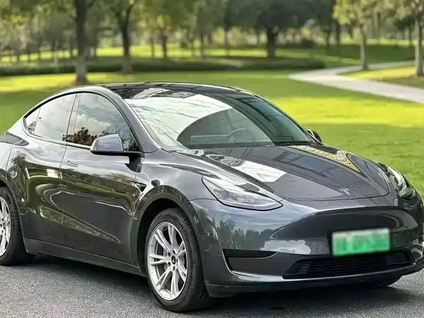 Tesla Model Y 2022, фото 3