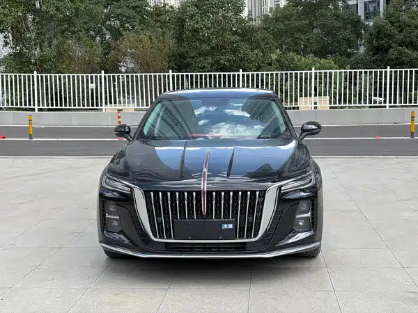 Hongqi H5 2024, фото 2