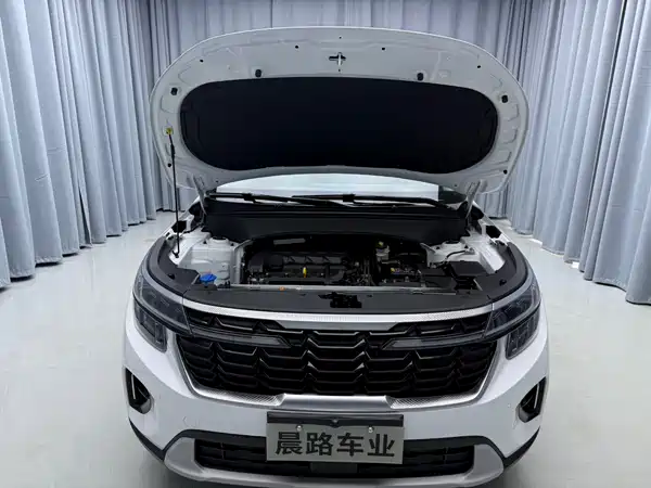 Kia Seltos 2023, фото 8