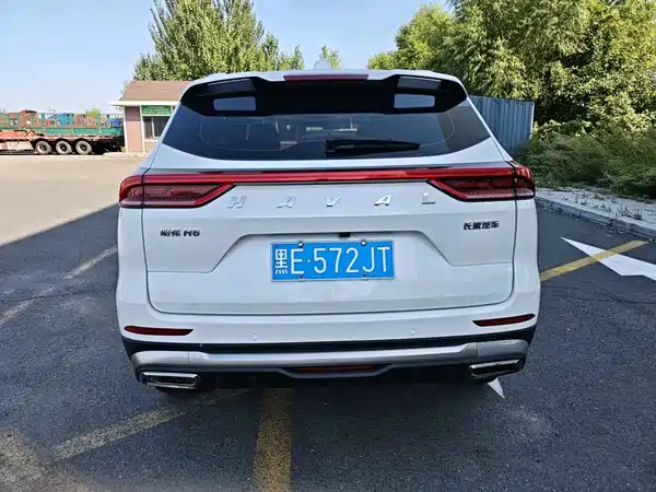 Haval H6 2023, фото 4