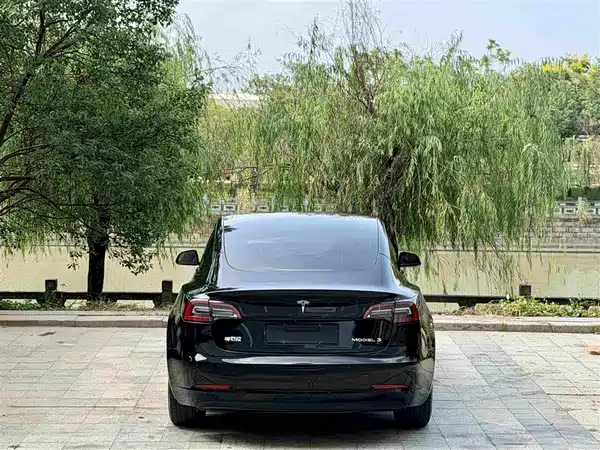 Tesla Model 3 2022, фото 3