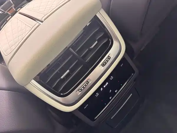 Hongqi E-HS9 2021, фото 6