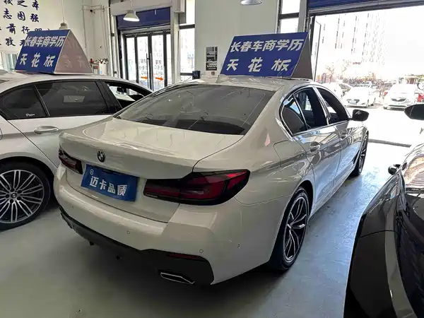BMW 5 Series 2022, фото 13