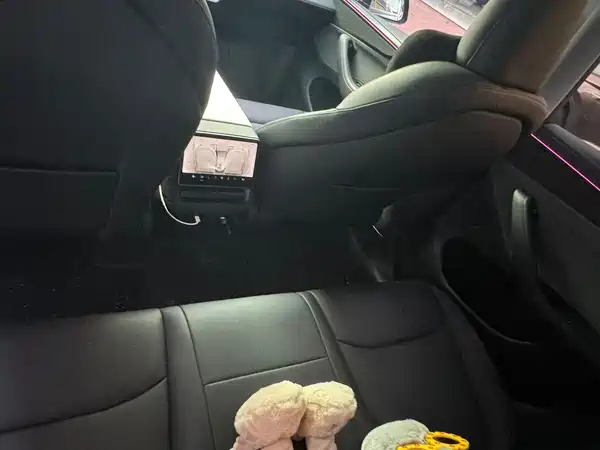 Tesla Model Y 2025, фото 13