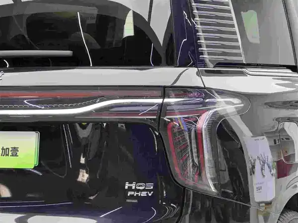 Hongqi HQ9 PHEV 2024, фото 15
