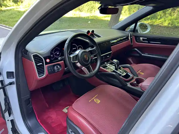 Porsche Cayenne 2022, фото 15