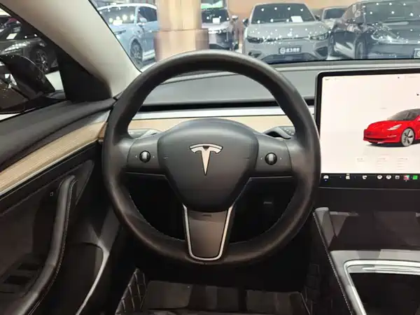 Tesla Model 3 2022, фото 10
