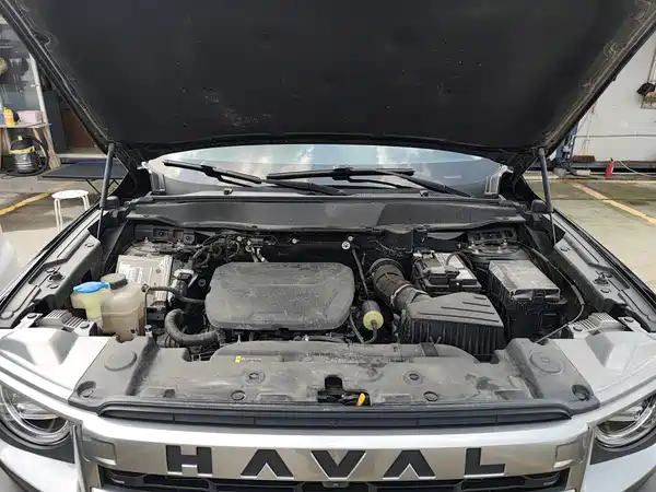 Haval Dargo 2024, фото 19