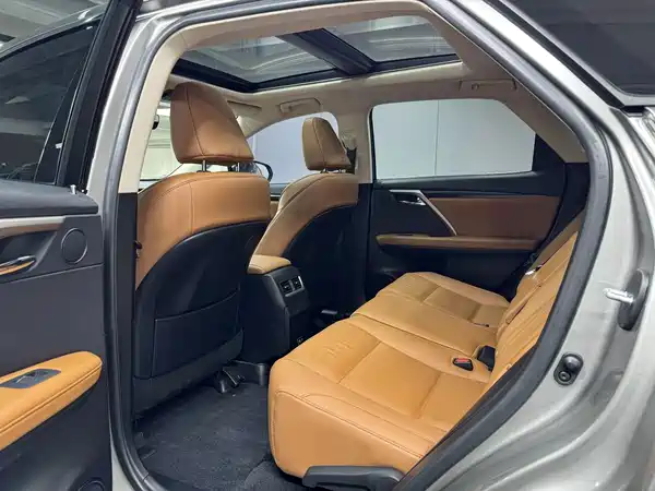 Lexus RX 2020, фото 14