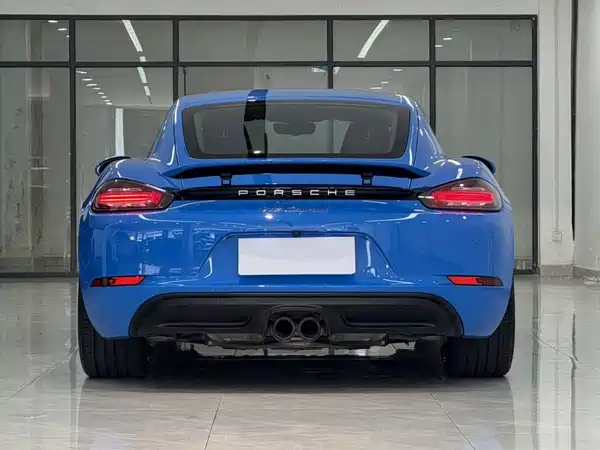 Porsche 718 2022, фото 7