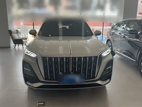 Hongqi HS5 2023, фото 11