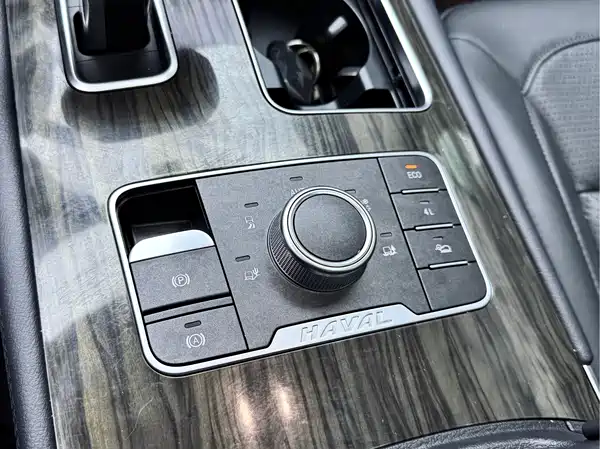 Haval H9 2022, фото 18