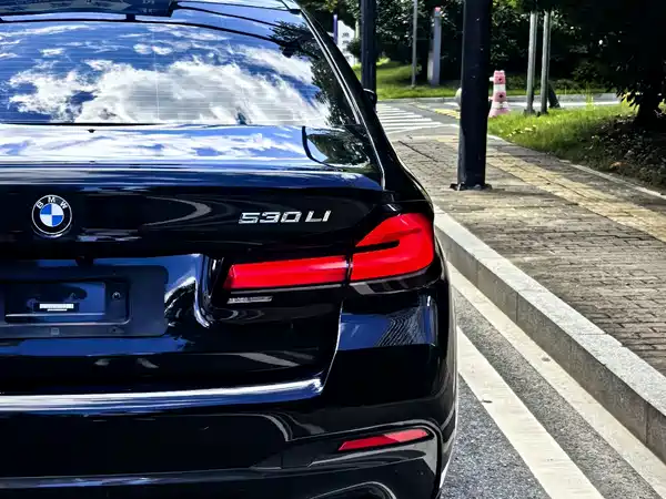 BMW 5 Series 2022, фото 13