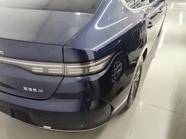 BYD Destroyer 05 2023, фото 23