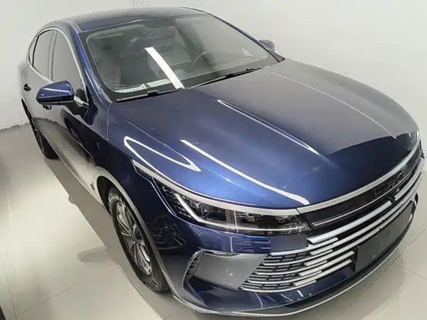 BYD Destroyer 05 2023, фото 21