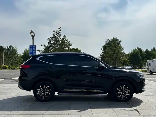 Haval H6 2023, фото 4