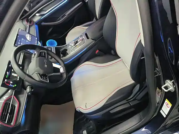 BYD Destroyer 05 2023, фото 10