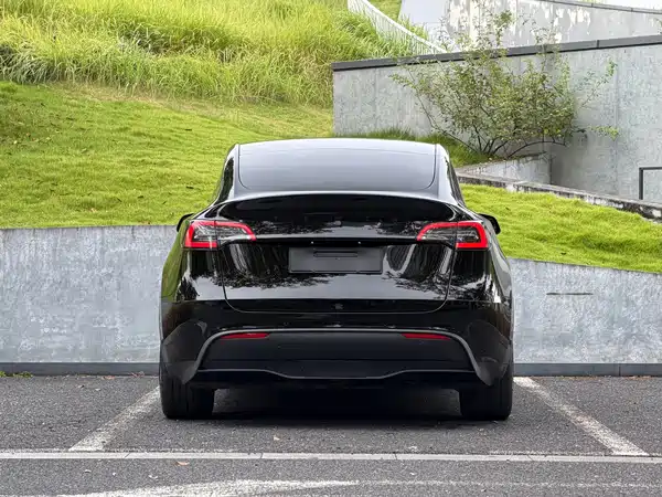 Tesla Model Y 2022, фото 6