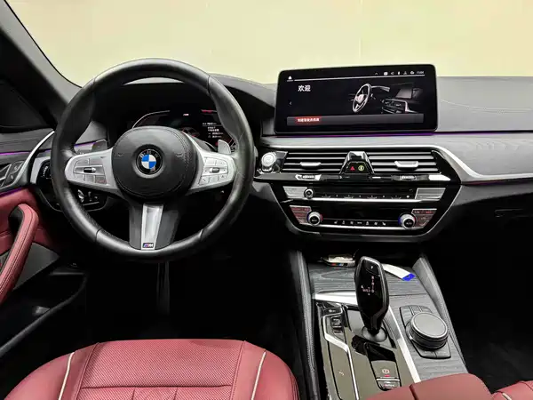 BMW 5 Series 2023, фото 20