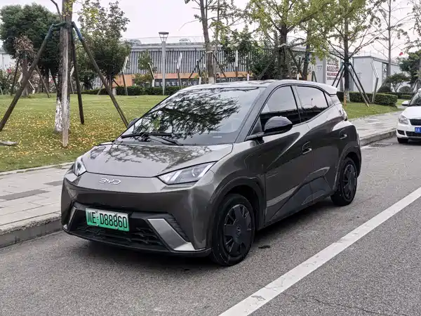 BYD Seagull 2024